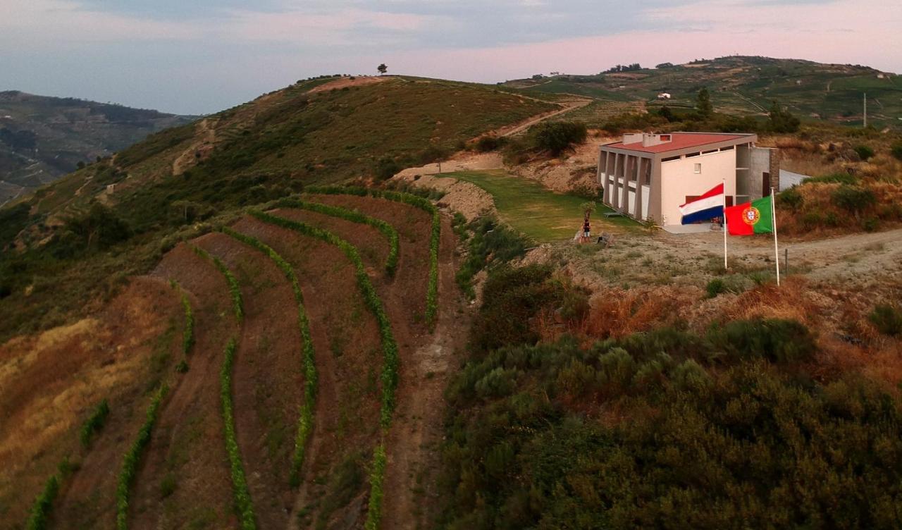 Stay At The Winemaker Ervedosa do Douro Eksteriør billede